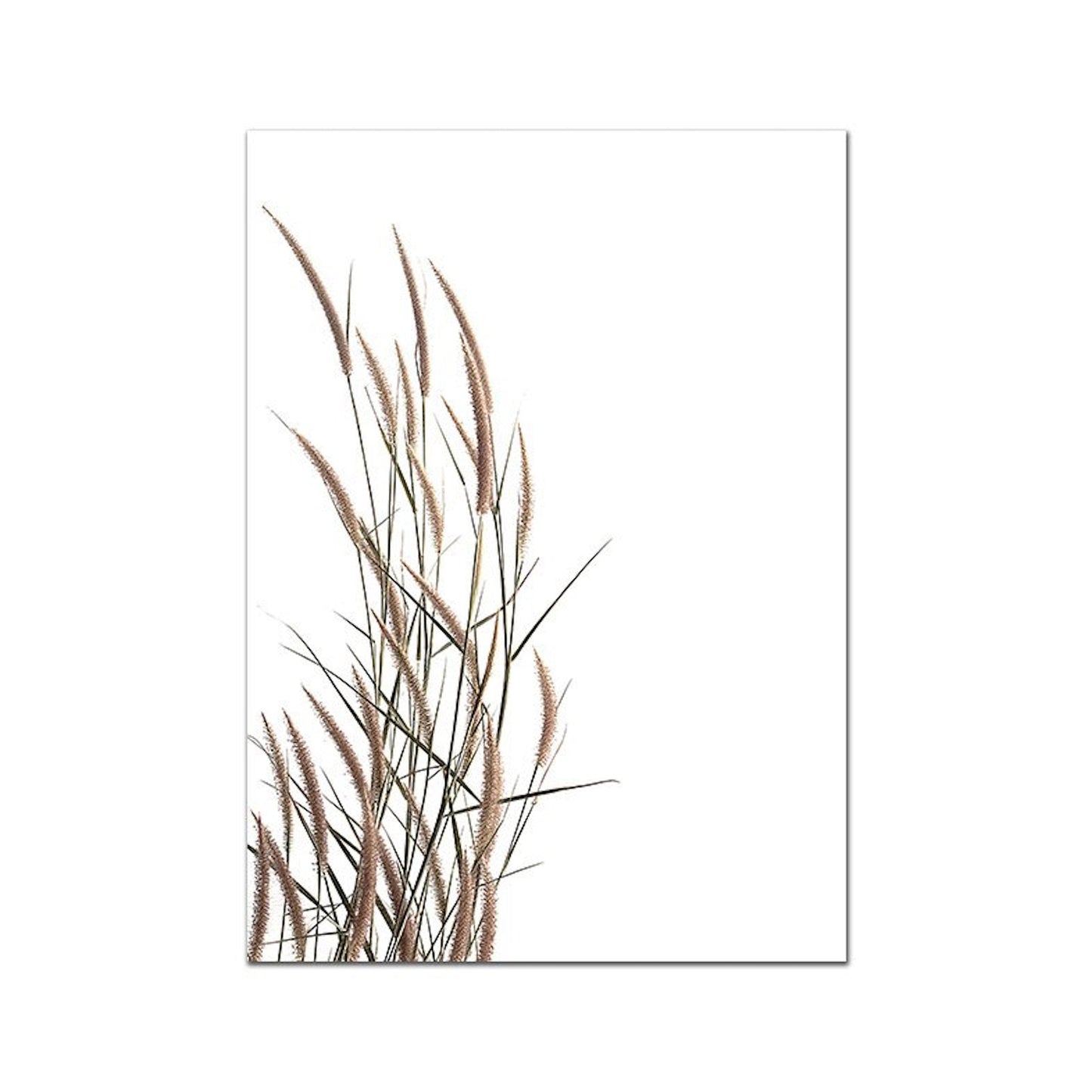 Poster Indianerin Wüste Blätter Trocken Blumen | Bilder Wohnzimmer | Wandbilder Schlafzimmer | Deko Print ohne Rahmen | Bilder Set-8