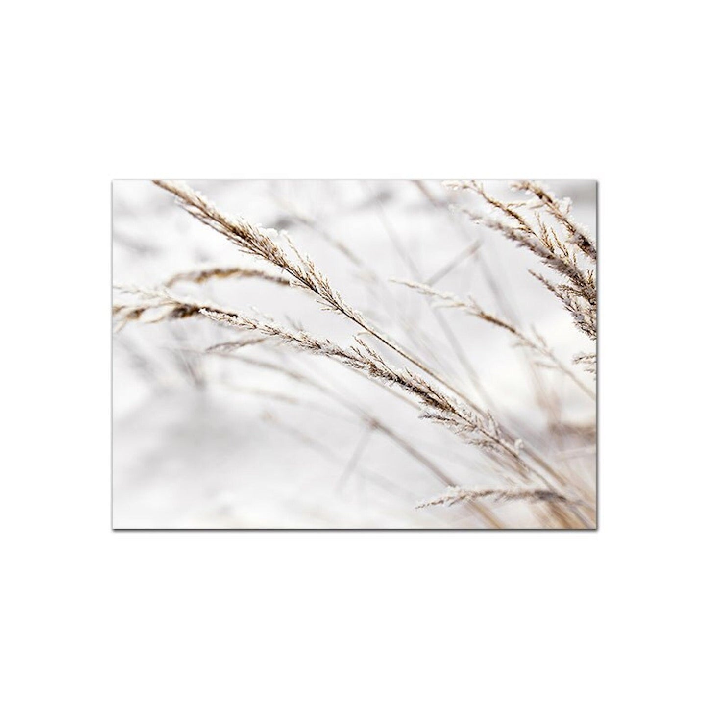 Poster Indianerin Wüste Blätter Trocken Blumen | Bilder Wohnzimmer | Wandbilder Schlafzimmer | Deko Print ohne Rahmen | Bilder Set-5
