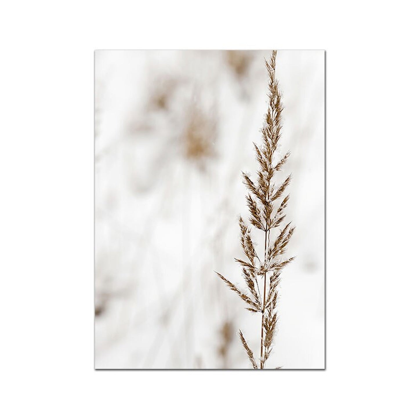 Poster Indianerin Wüste Blätter Trocken Blumen | Bilder Wohnzimmer | Wandbilder Schlafzimmer | Deko Print ohne Rahmen | Bilder Set-6
