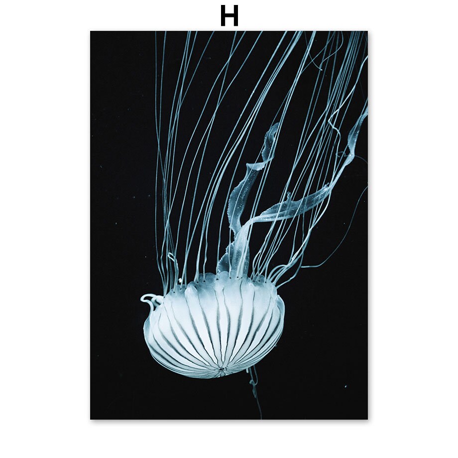 Poster Underwater World Diver Turtle | without frame