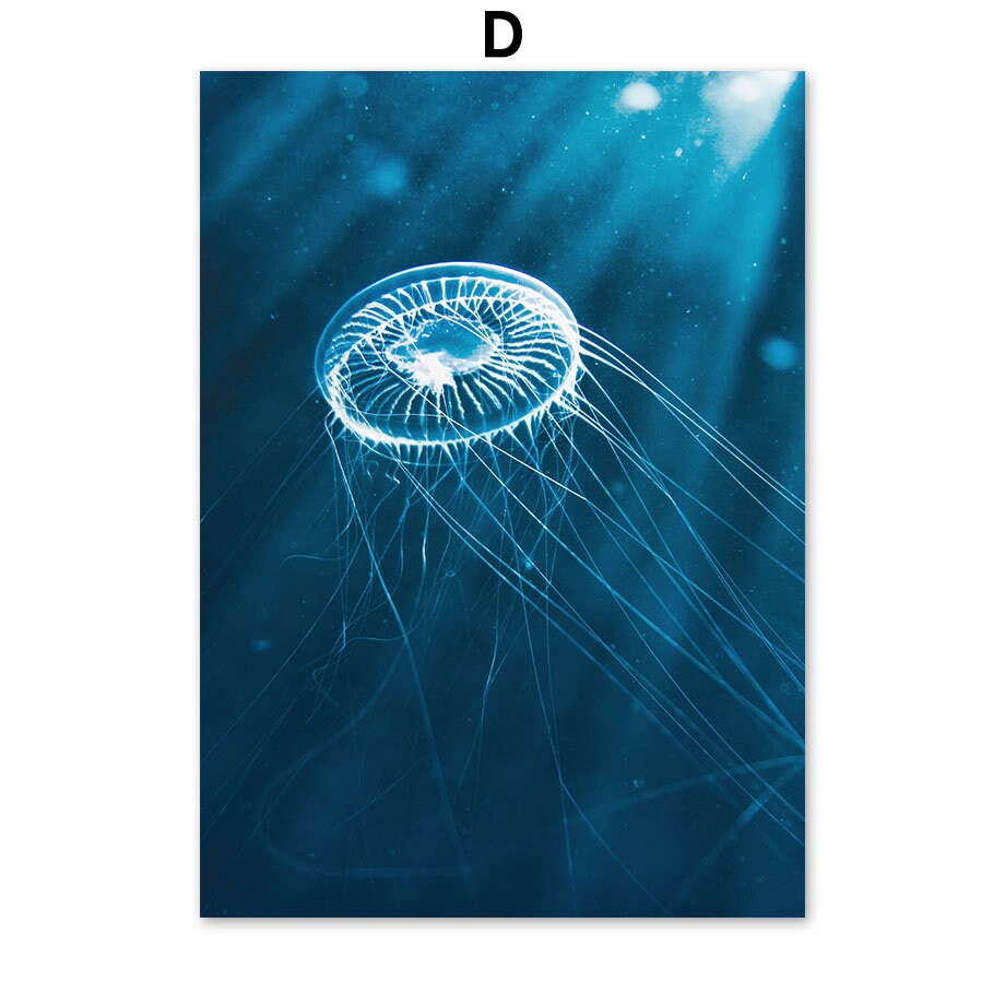 Poster Underwater World Diver Turtle | without frame
